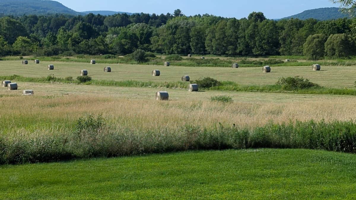 Canada's $5B Forage Industry Deserves More Attention