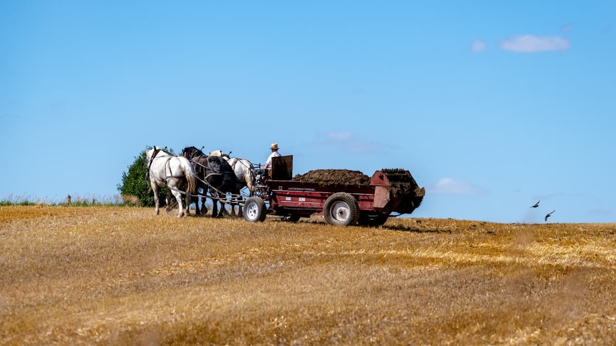 Farm Risk Rising: What CUSMA Talks Mean for Canada Ops