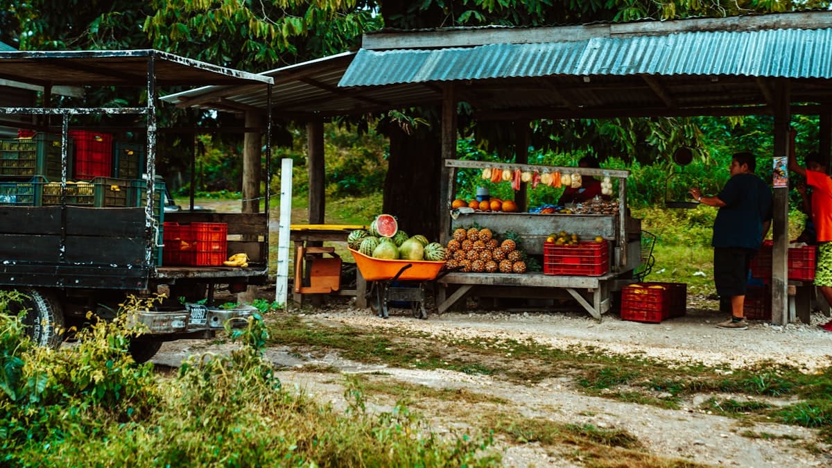 Ontario agritourism generates $633M: what it means for farms