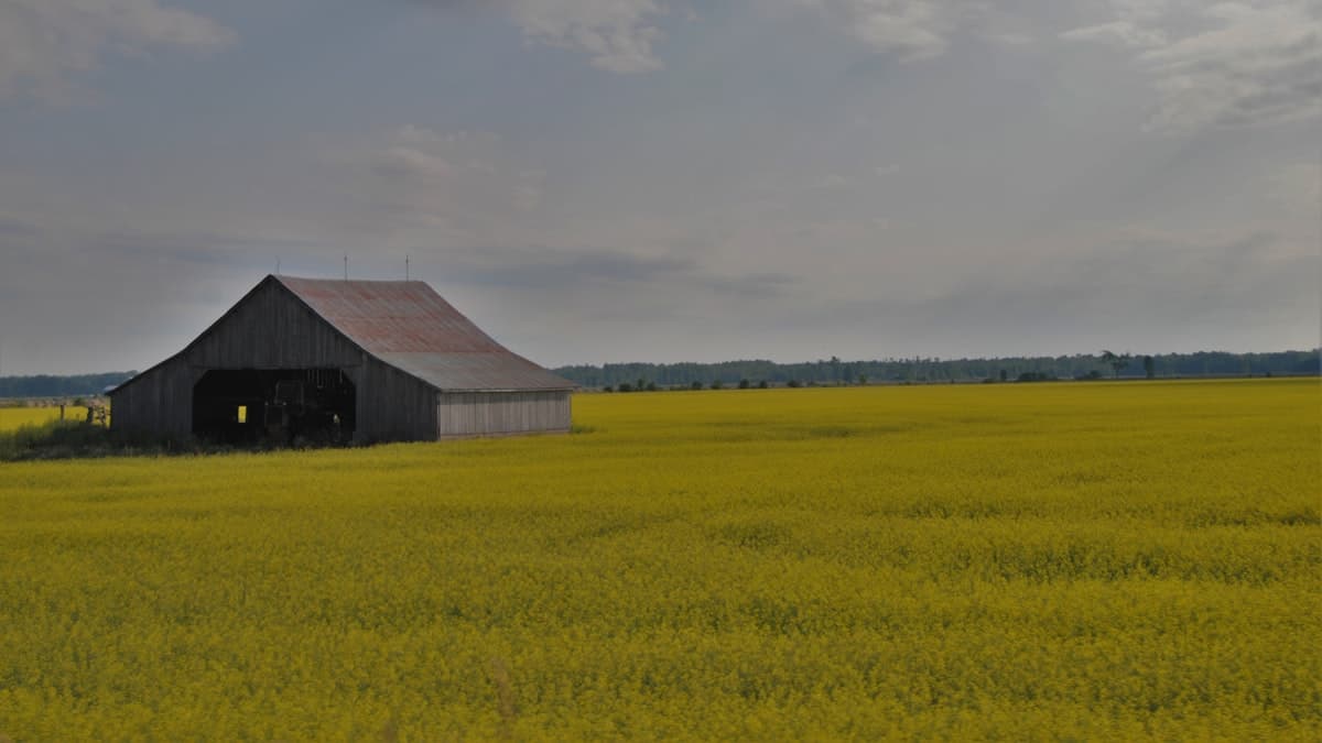 USMCA Renewal in Doubt: What Canadian Farmers Need to Know